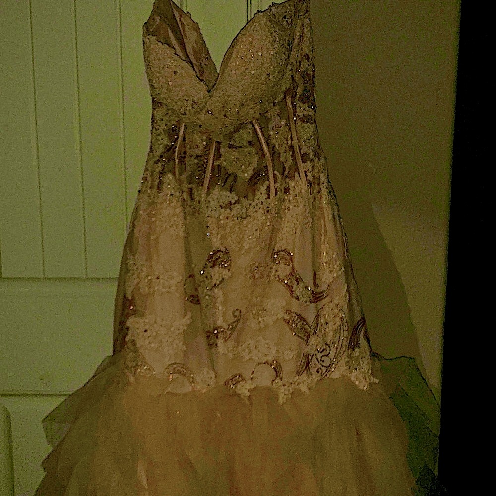 Jovani Sequin Corset Mermaid Dress, Size 14, Only worn once
